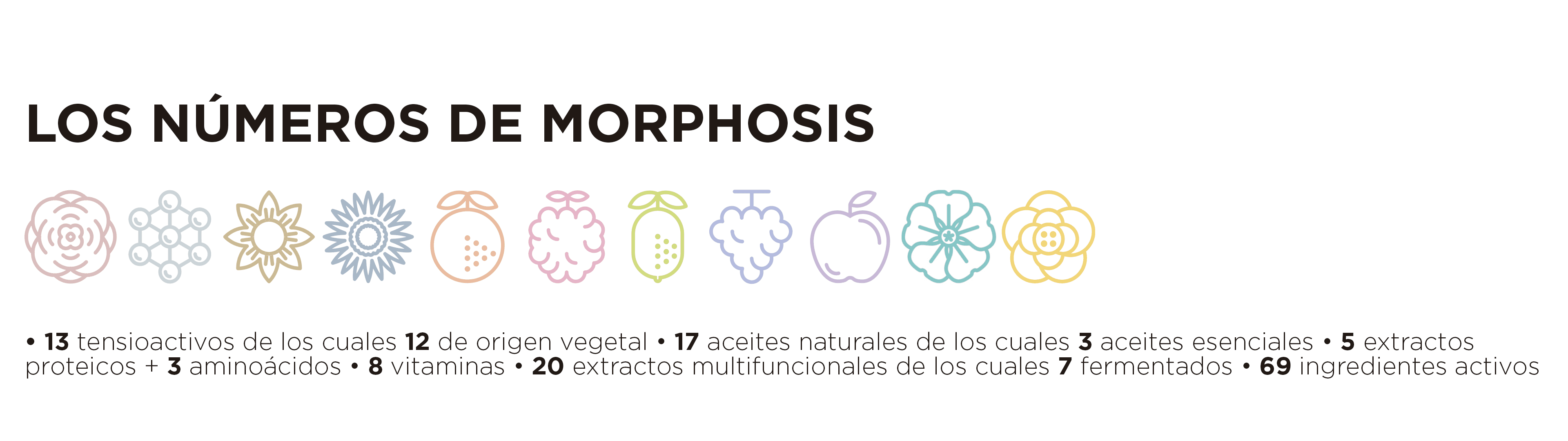 Morphosis